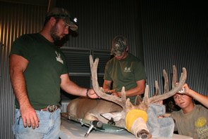 Artemis Outdoors, Inc.